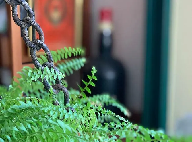 Le Residenze Dei Serravallo Trieste